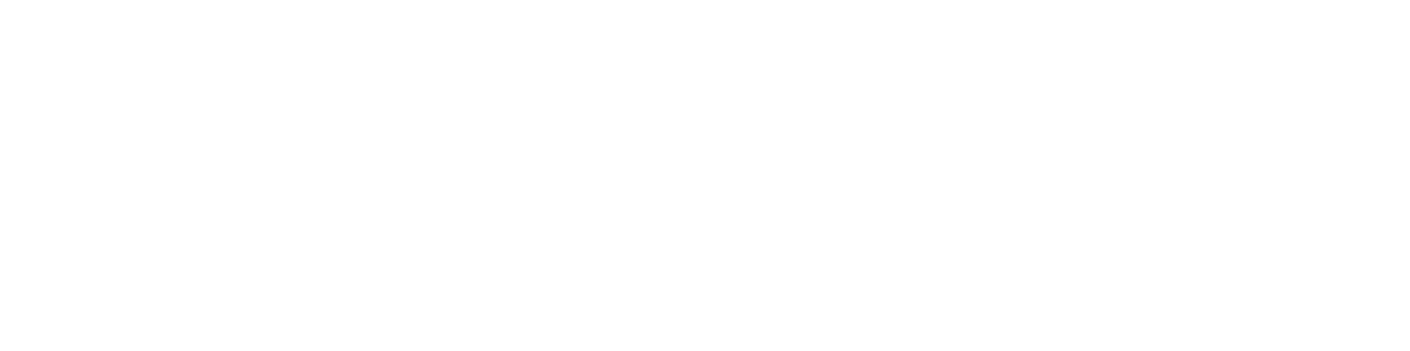 Logo Wild Dice